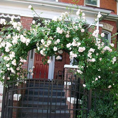 Comfy Guesthouse & Suite Toronto Zewnętrze zdjęcie