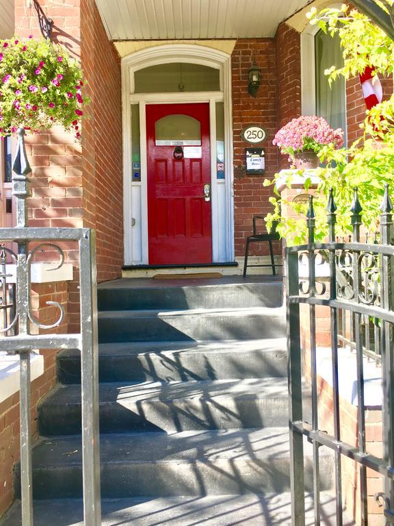 Comfy Guesthouse & Suite Toronto Zewnętrze zdjęcie